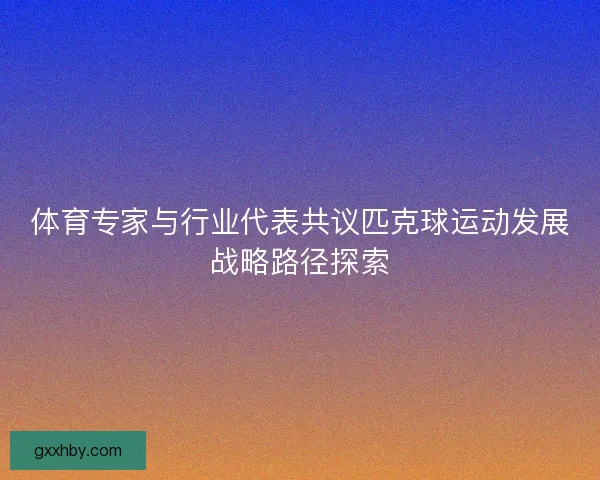 体育专家与行业代表共议匹克球运动发展战略路径探索