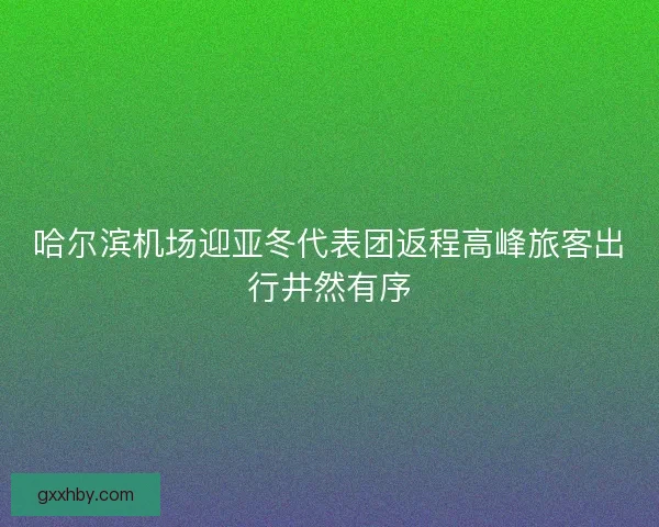 哈尔滨机场迎亚冬代表团返程高峰旅客出行井然有序