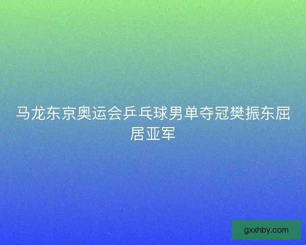 马龙东京奥运会乒乓球男单夺冠樊振东屈居亚军